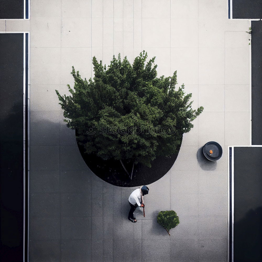 Similar – Image, Stock Photo self-made