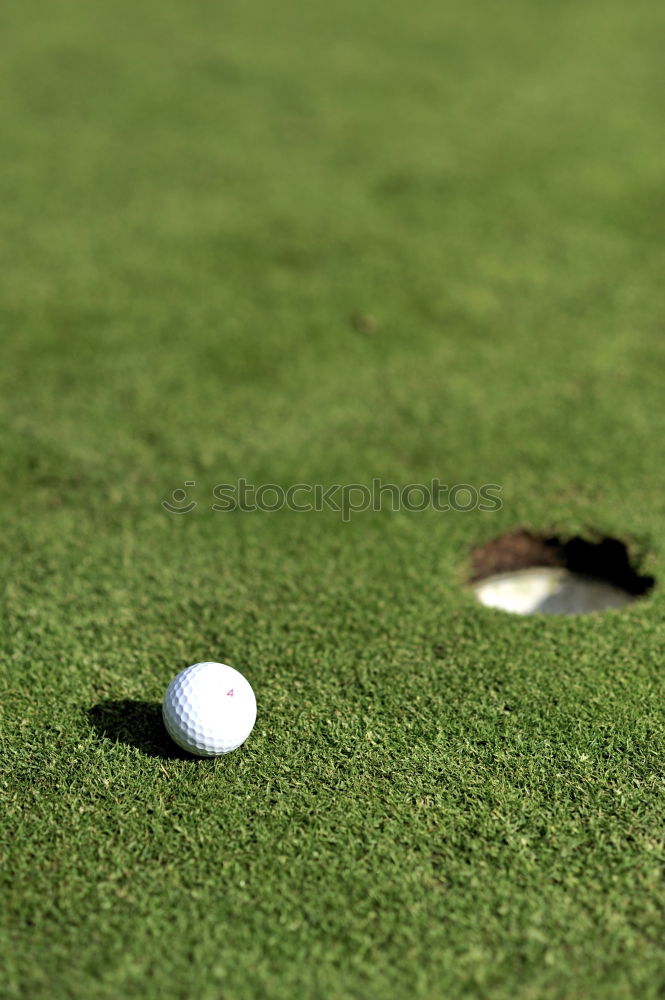 Similar – Minigolf ball holed on a minigolf course