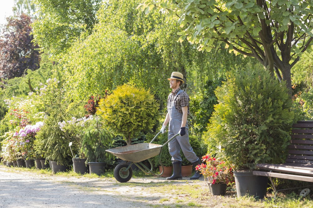 Similar – Couple taking a walk