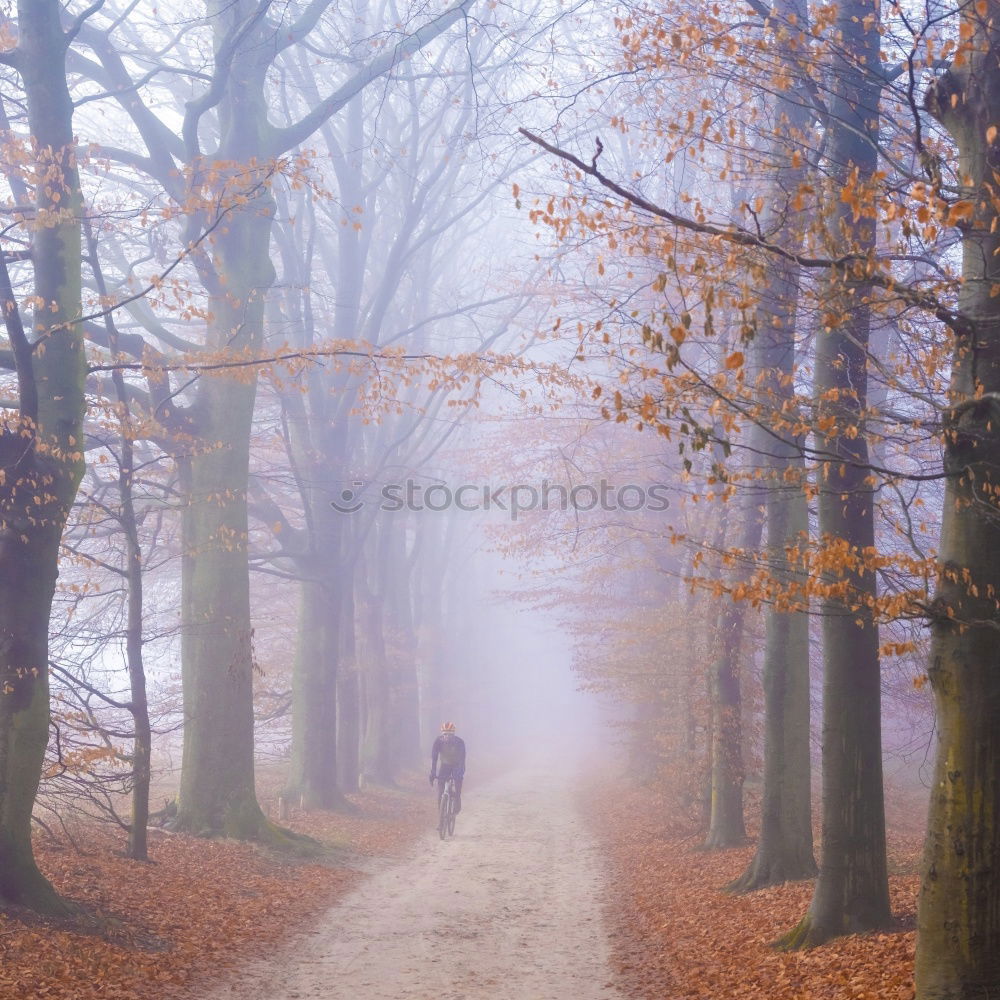 Similar – Man standing on foggy road