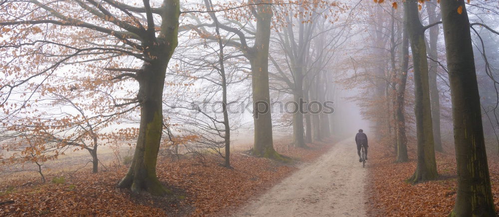 Similar – winter walk Woman Old