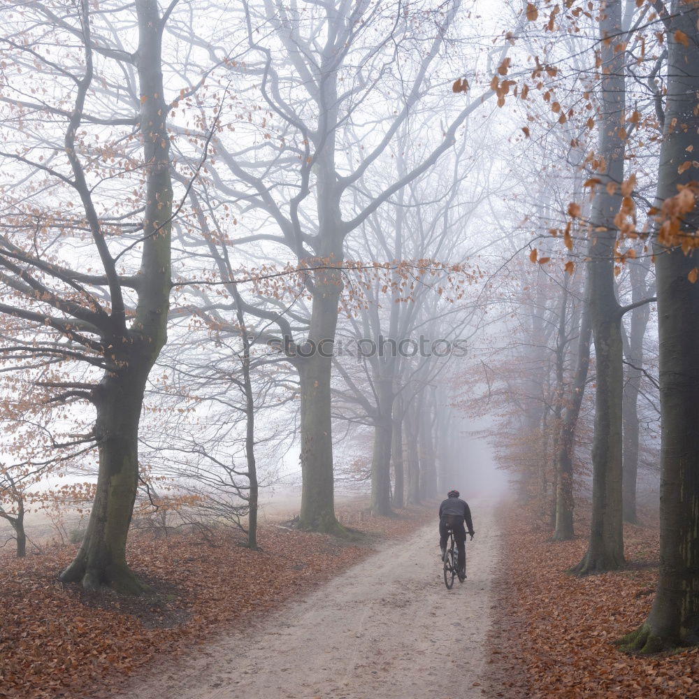 Similar – winter walk Woman Old