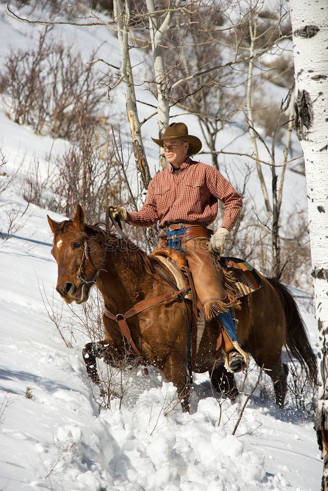 Similar – carriage ride Trip Winter