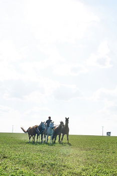 Similar – Lucky Luke & Friend Horse