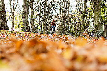 Similar – Image, Stock Photo autumn walk Human being