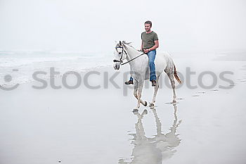 Similar – Silhouetten von drei Reitern bei Sonnenschein am Strand