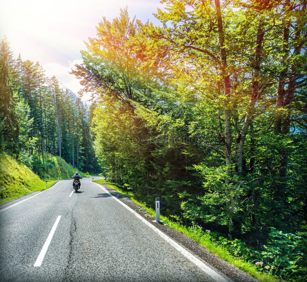 Similar – Car driving through forest