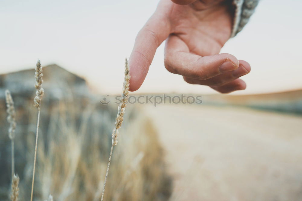 Similar – Image, Stock Photo clam digger