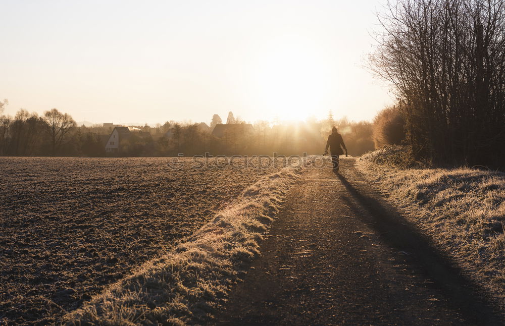 Similar – Image, Stock Photo winter walk Hiking