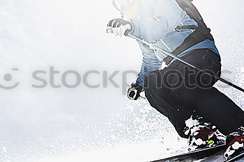 Similar – Foto Bild Verdammt coole sau II