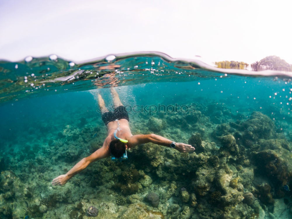 Similar – Image, Stock Photo water ballet