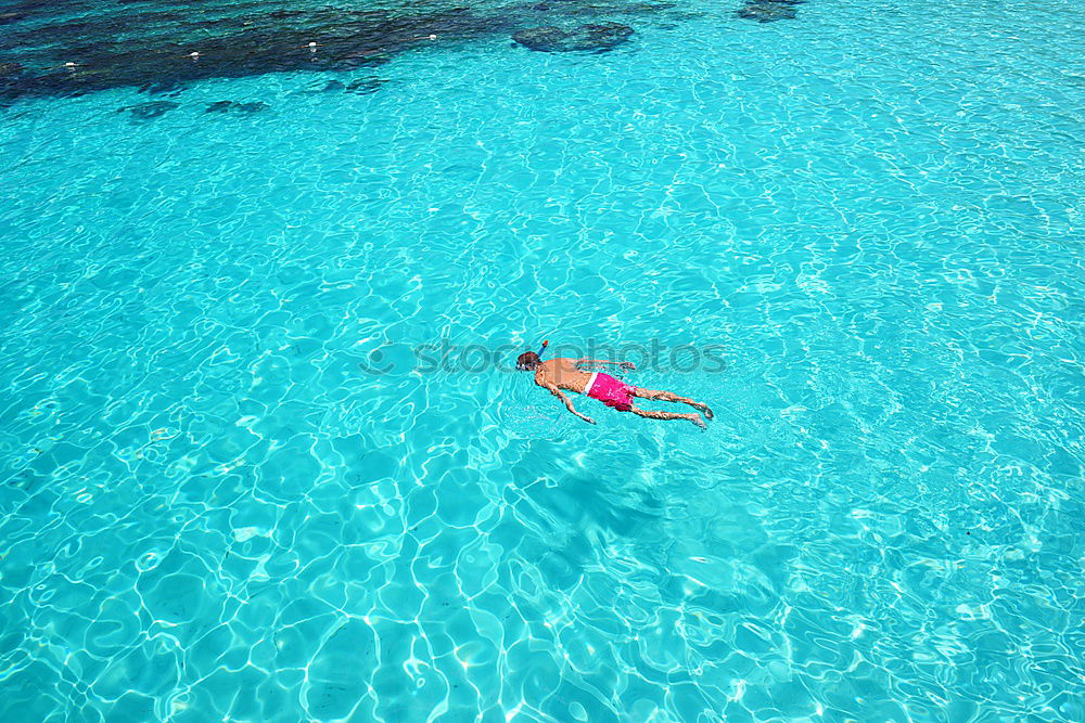 Similar – Pink in turquoise Lagoon