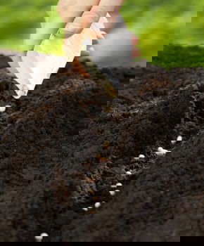 Similar – Image, Stock Photo Hands full with fertile soil