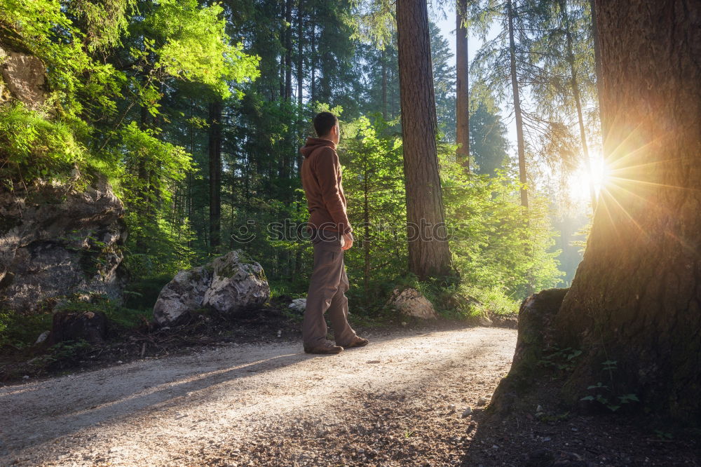 Similar – Image, Stock Photo Happy child in the forest