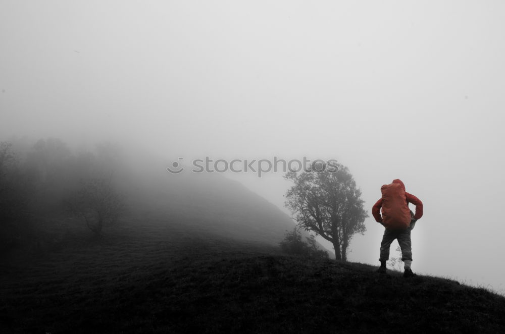 Similar – on the roof of the world.