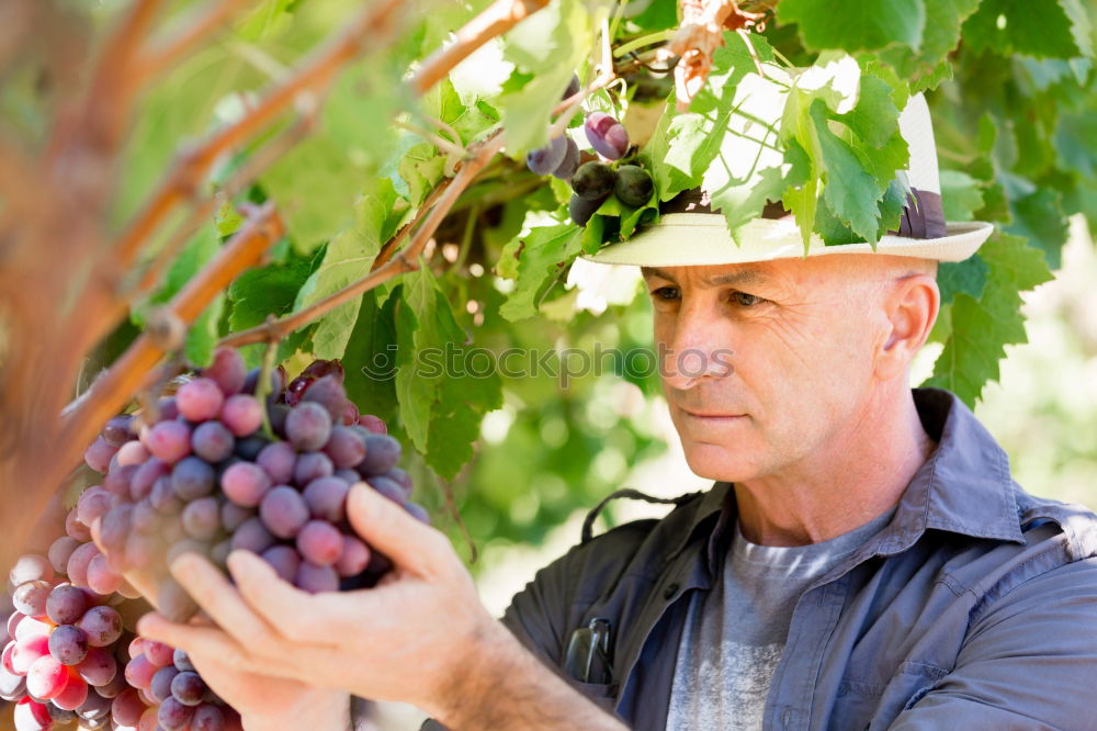 Similar – Young man harvesting apples