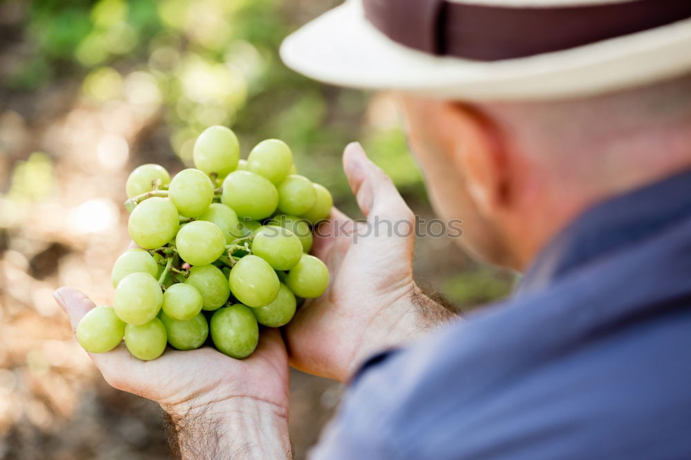 Similar – Harvest II Art Work of art