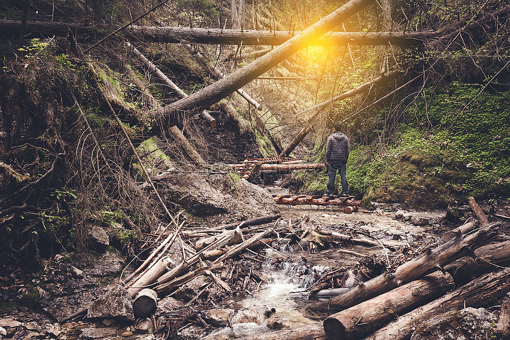 Similar – Image, Stock Photo Children playing on logs