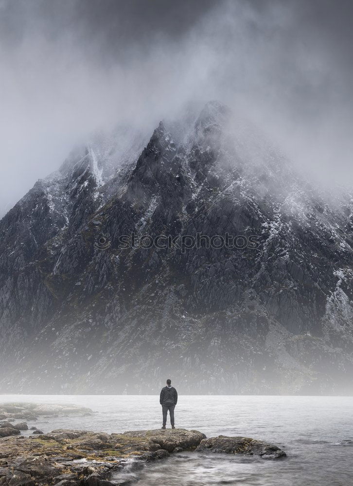 Similar – Image, Stock Photo Enjoy the peace Tourism