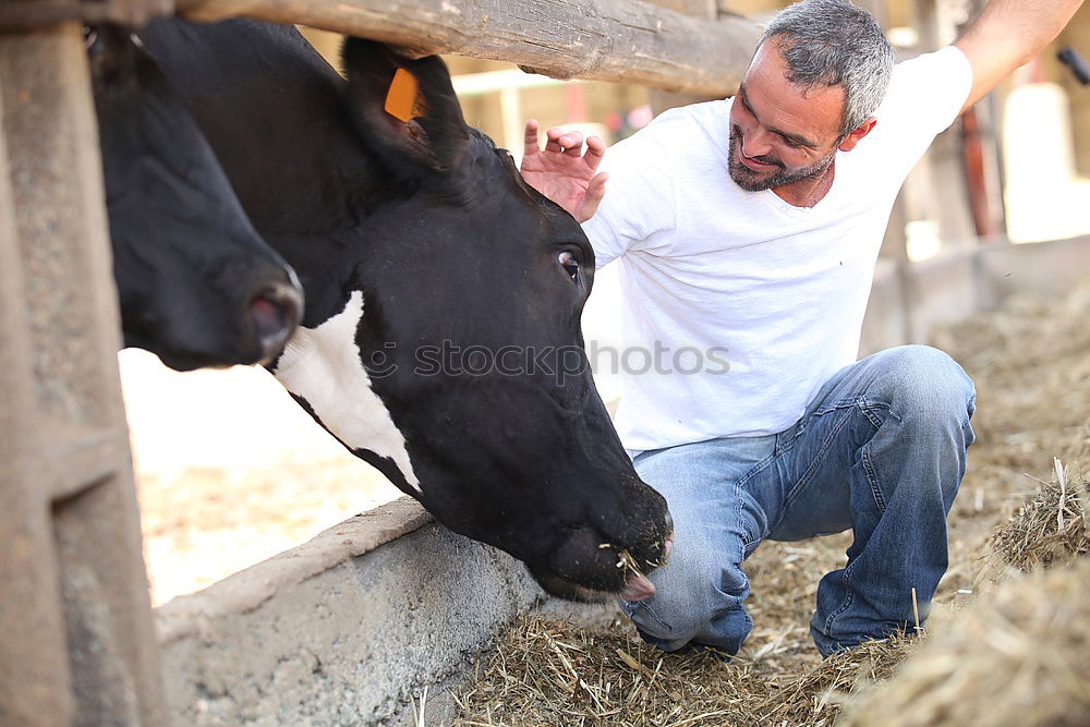 Similar – Image, Stock Photo milkers Food Milk