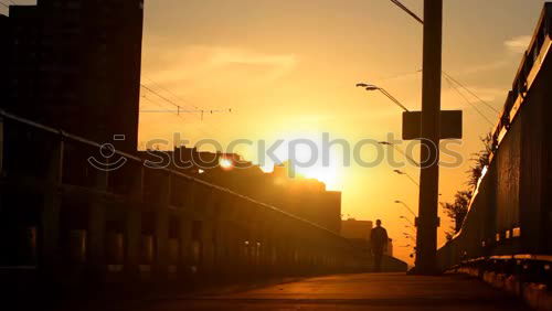 Similar – Laubbrücke Blatt Himmel