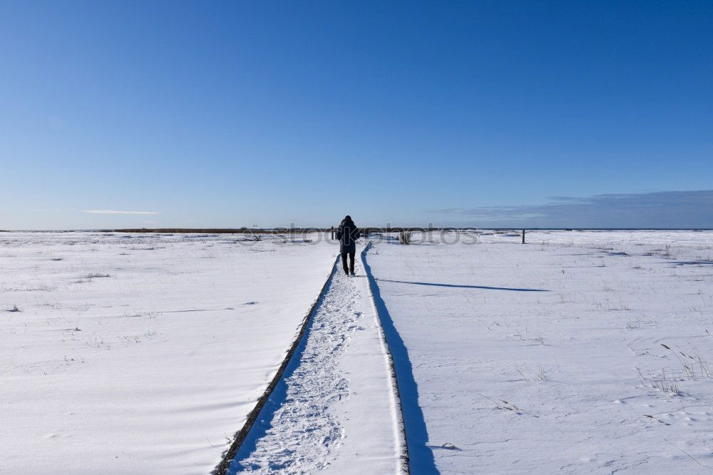 Similar – woman on top White Sky