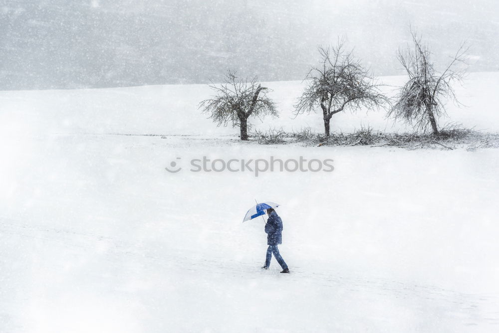 Similar – Young man jogging through meadow pathway during heavy snowing. Workout outdoors while winter snow storm