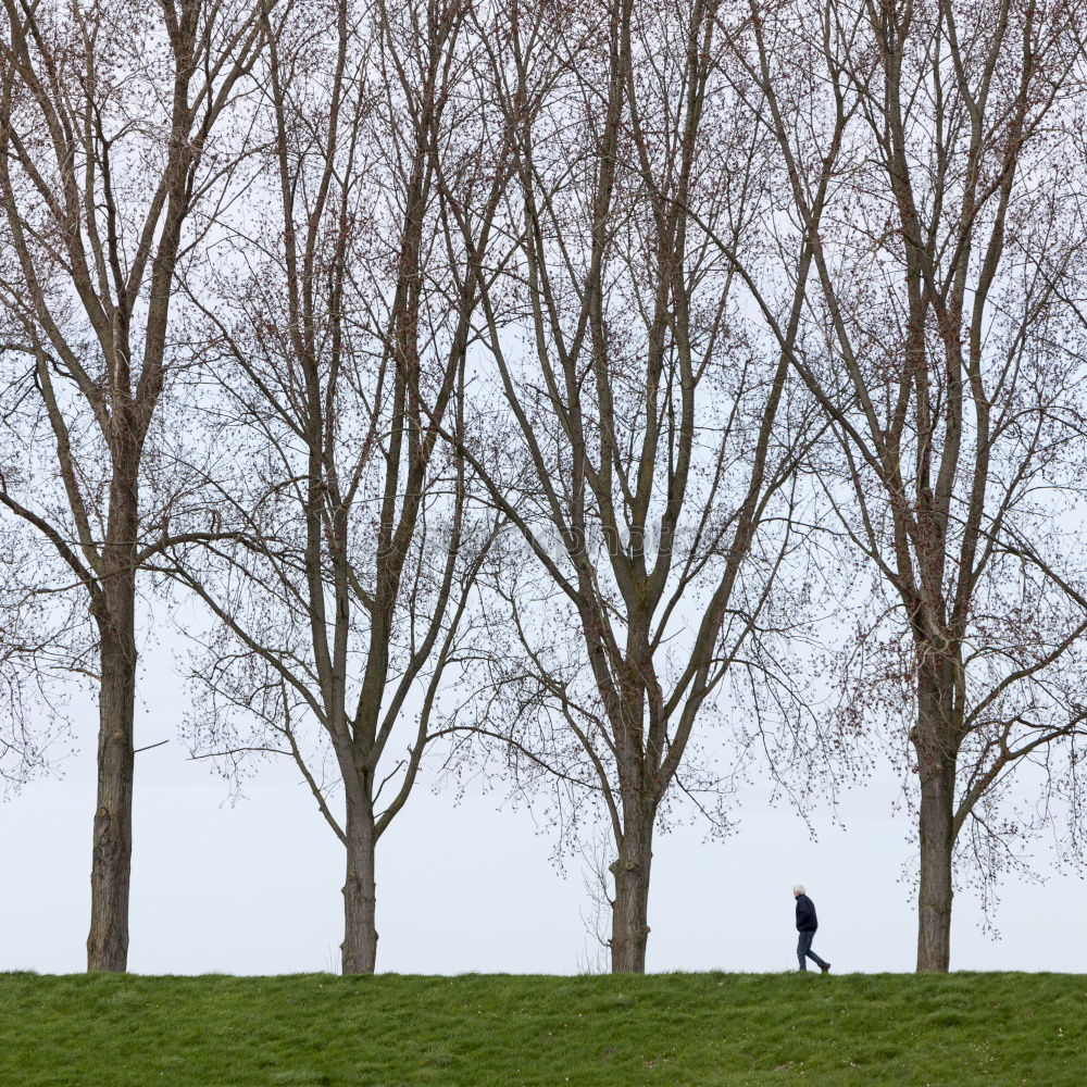 Similar – Image, Stock Photo la solitaria Red Green