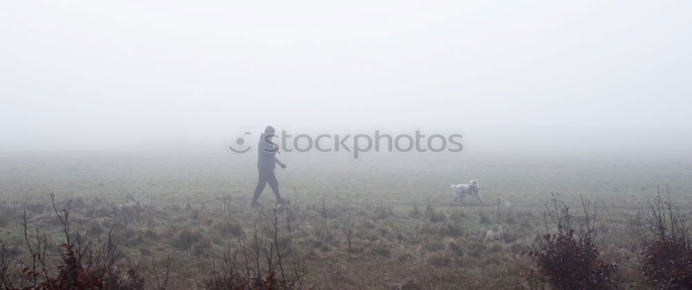 Similar – Image, Stock Photo Fuzzy figure running through the forest