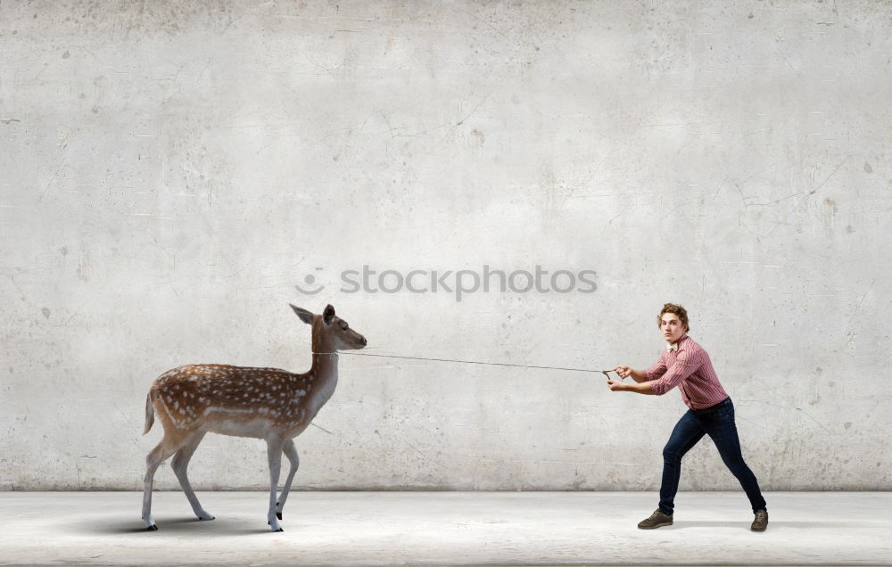 Similar – Image, Stock Photo paper tiger