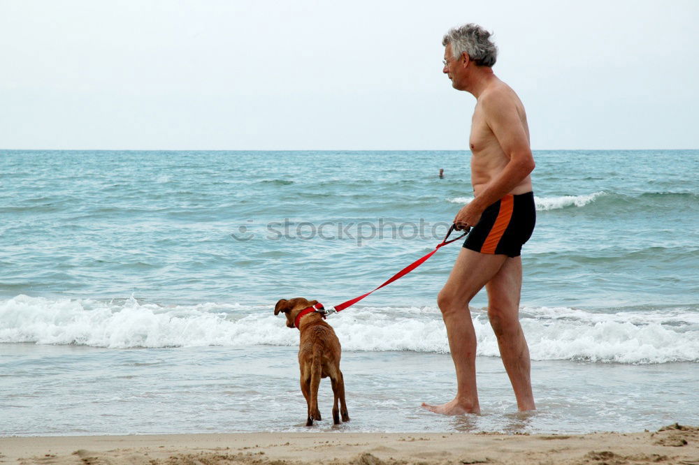 Similar – Image, Stock Photo young male playing with dog on beach during sunrise