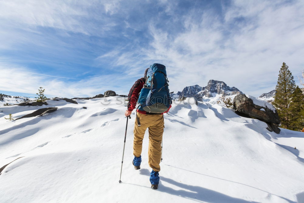 Similar – Image, Stock Photo Tourist with backpack in snowy forest