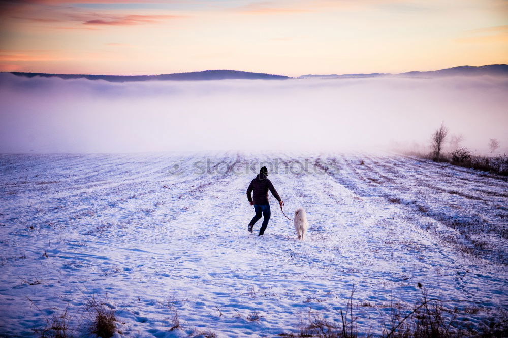 Similar – Foto Bild Hiddensee | Weites Land