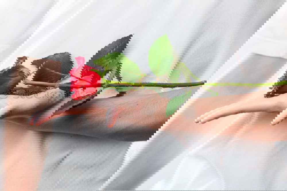 Similar – Image, Stock Photo Young man with red flowers