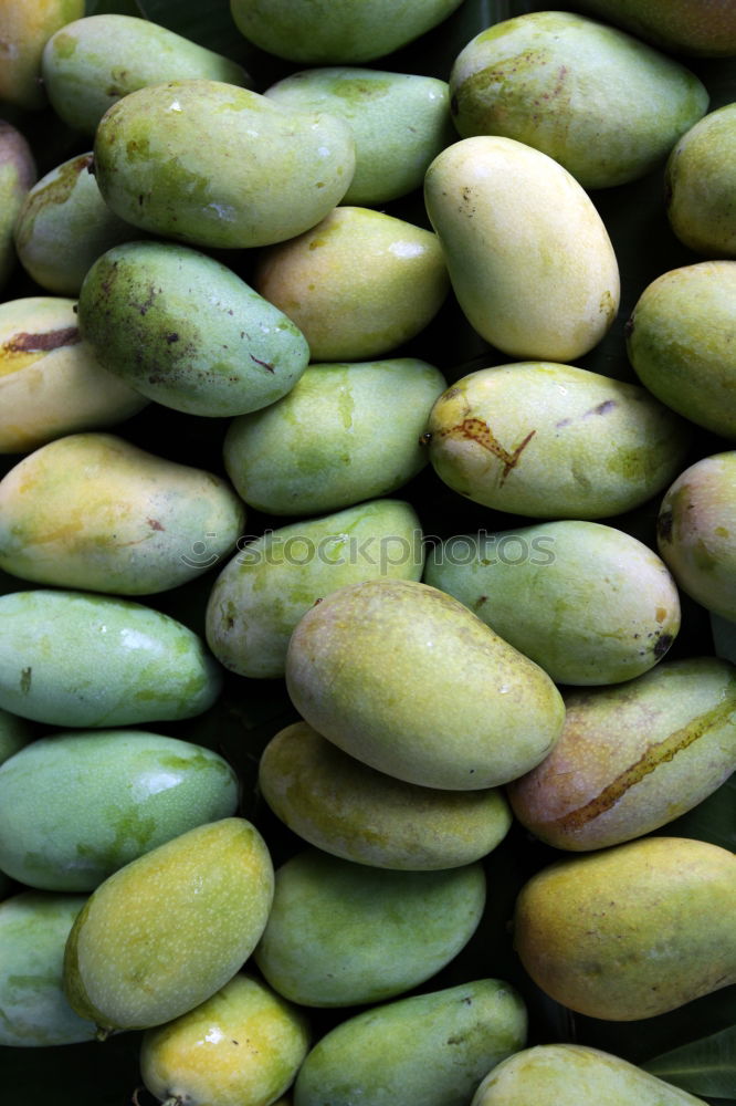 Similar – Image, Stock Photo gherkins Food Vegetable