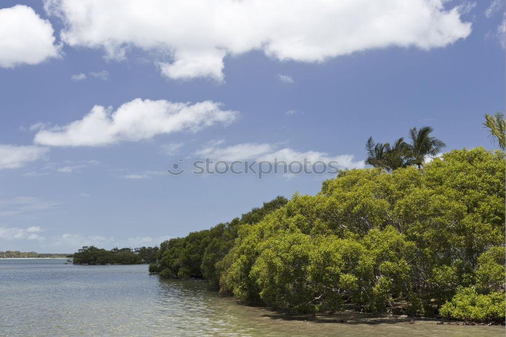 Similar – Image, Stock Photo Waterworld Nature Ocean