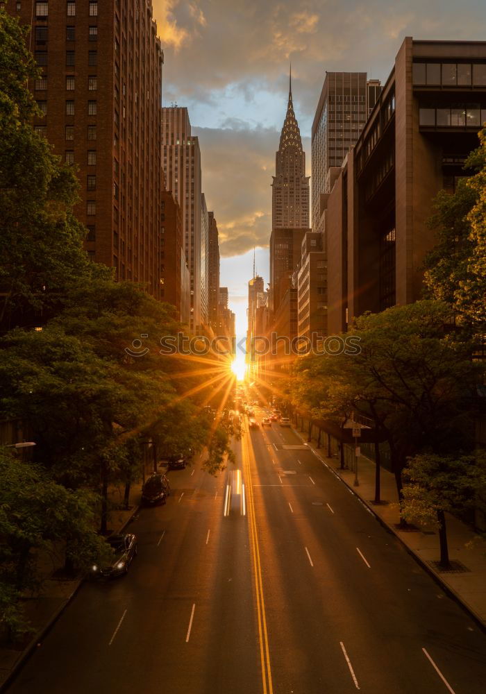 Similar – Image, Stock Photo Empty street with photographer