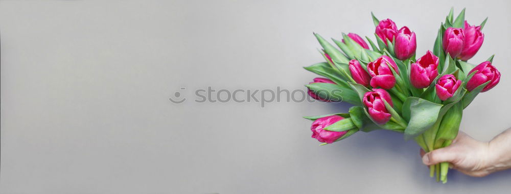 Similar – Garden tools and gloves with coloured pot flowers