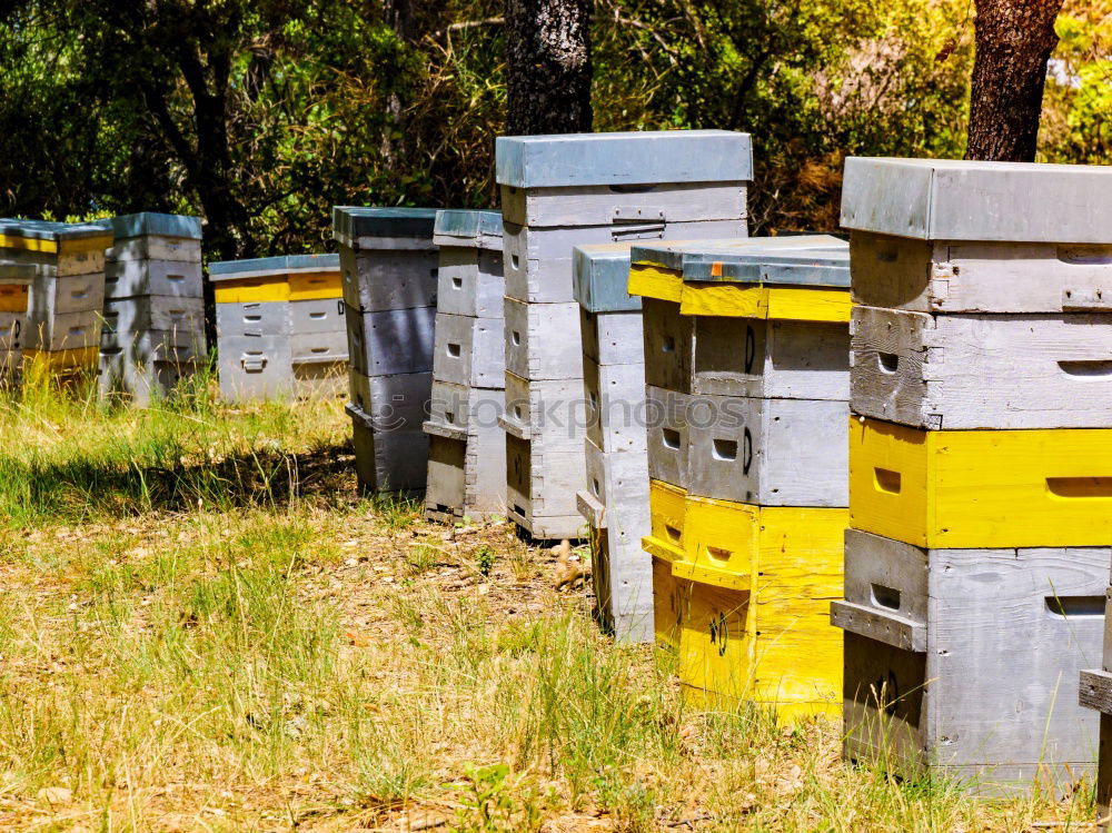 Similar – outback Mailbox Outback