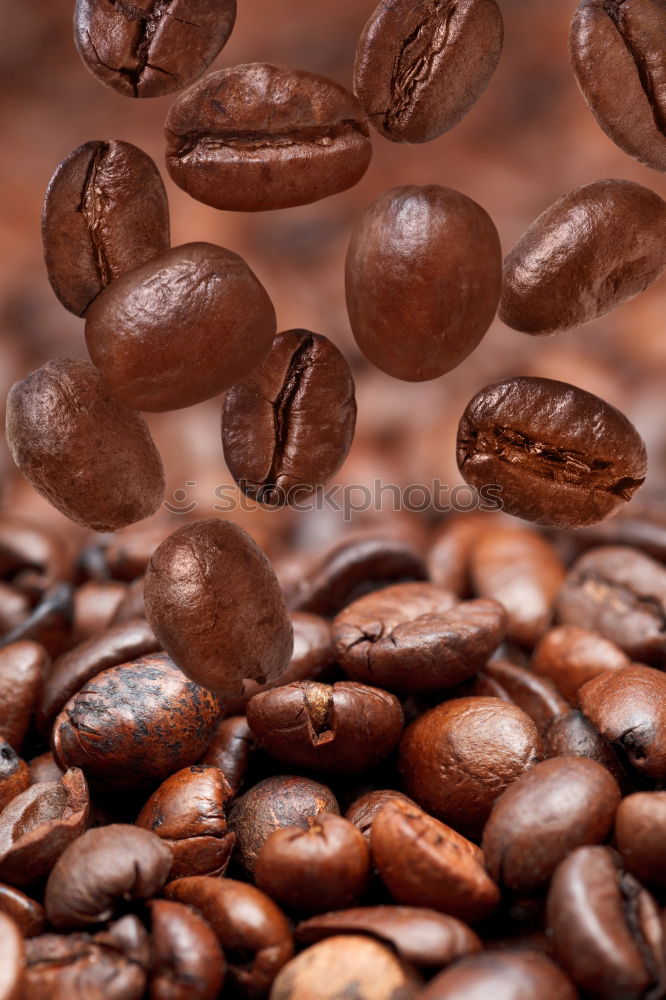 Similar – coffee beans Coffee