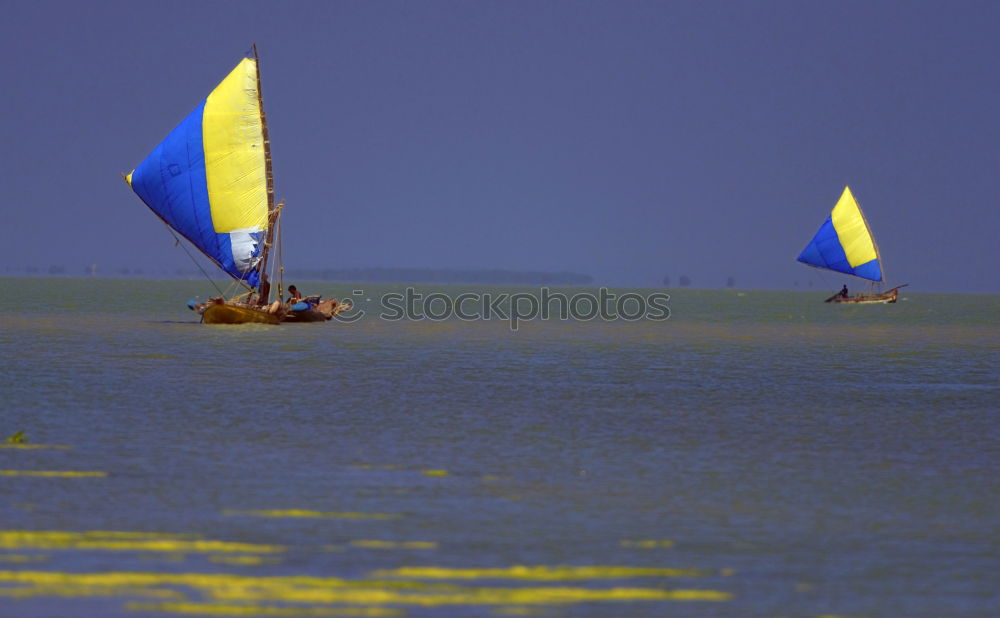 Similar – Foto Bild Freiheit Strand Stimmung