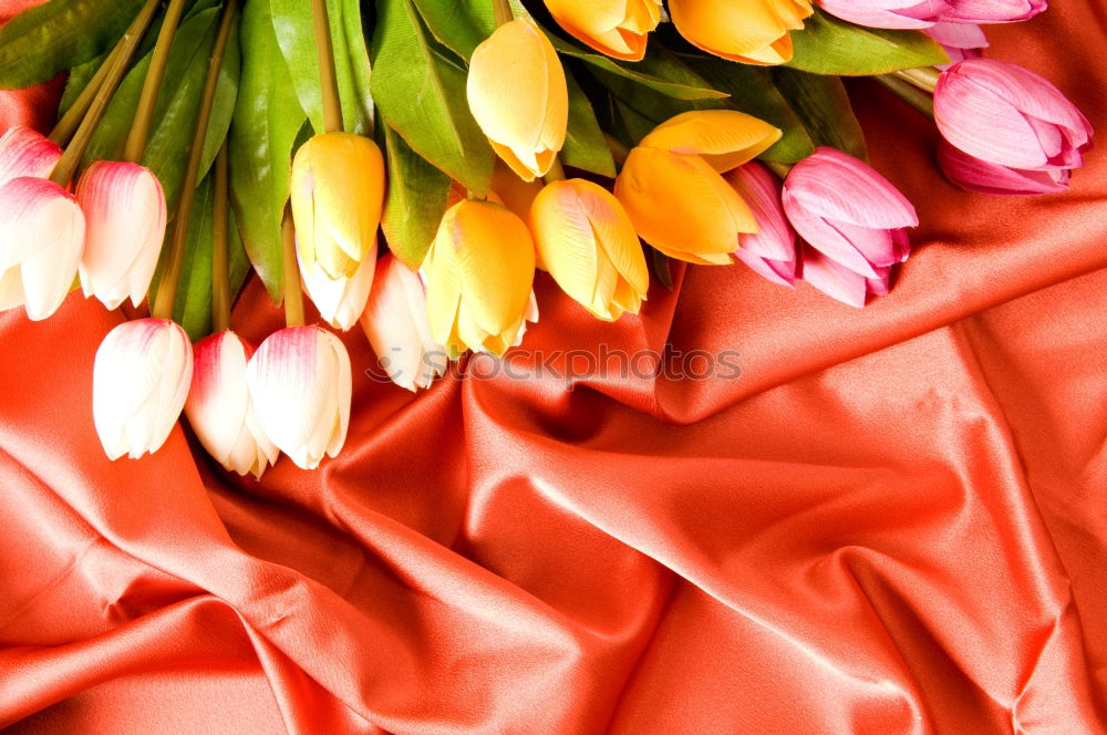 Similar – Three tulips on a red wooden background