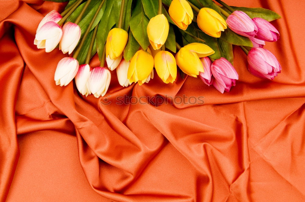 Similar – Three tulips on a red wooden background