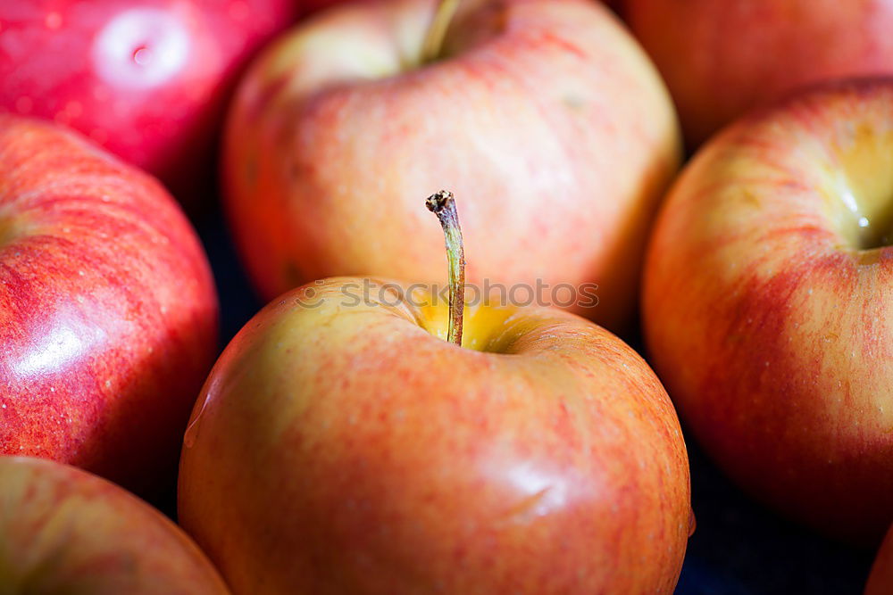 Similar – veräppelt Apfel Frucht