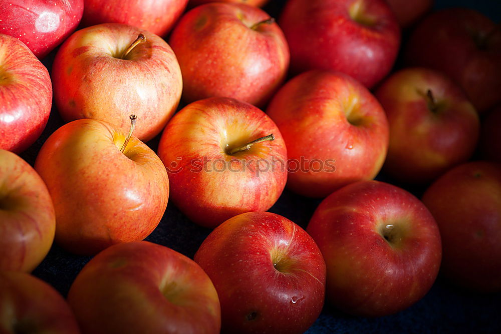 Similar – a winter supply of apples