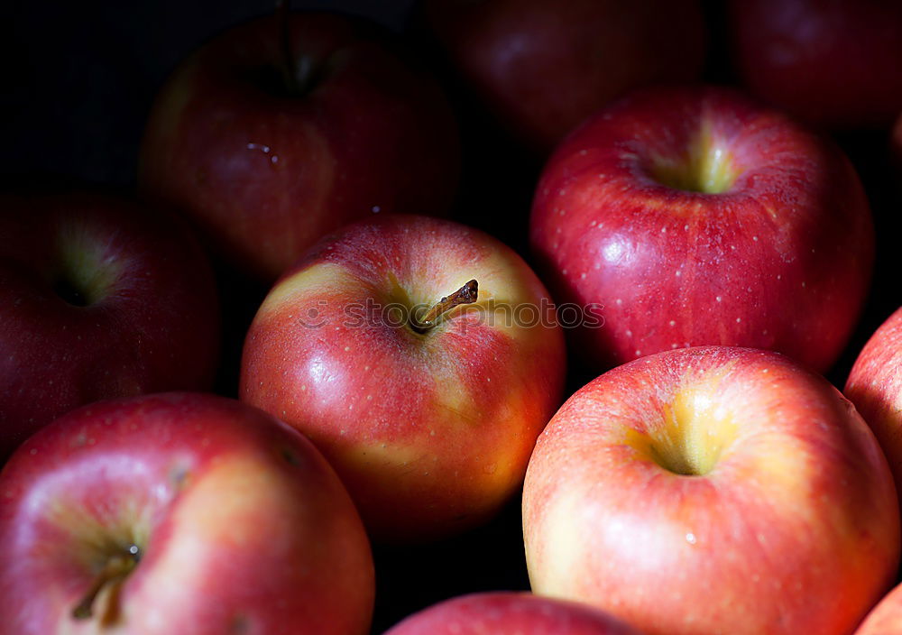 Similar – Image, Stock Photo plums Red Violet Picked