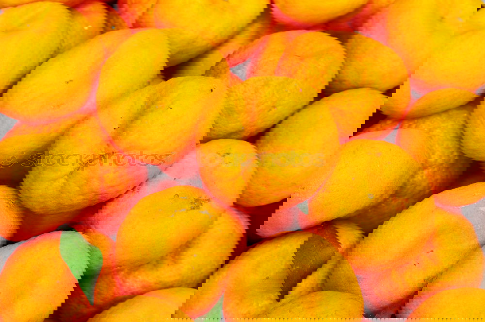 Similar – Image, Stock Photo el limón. Food Esthetic