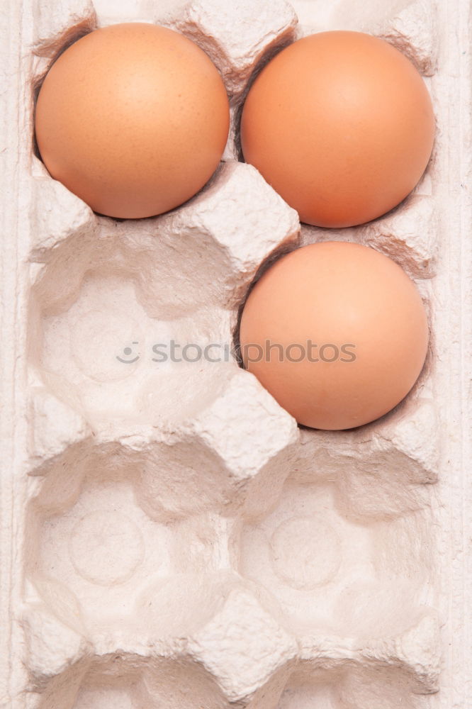 Similar – Image, Stock Photo Egg Egg Egg Egg Egg Egg Egg Egg Egg Egg Egg Egg Egg Egg Egg