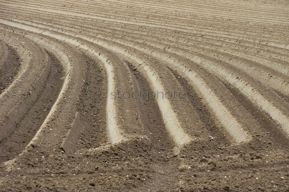 Similar – Panamericana Peru