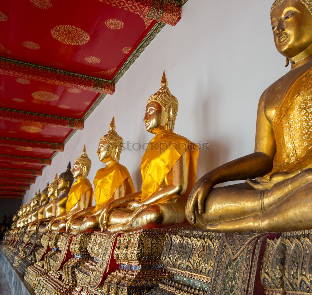 Similar – Image, Stock Photo golden statues in 1000 Buddhas Temple in Hong Kong.